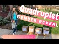 Quadruplet gender reveal