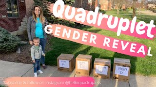Quadruplet gender reveal
