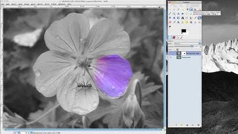 Gimp Tutorial - Using layers to merge B&W and color