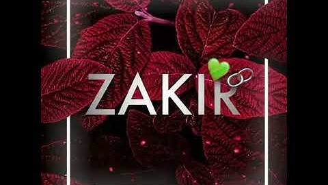 zakir name status