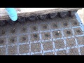 АТ27 Выращивание рассады на вермикомпосте(биогумусе) от калифорнийских червей. Пошаговое видео