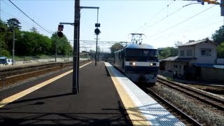 JR貨物 EF210-2号機[岡](代走) 貨物列車1091レ【爆走&ヨコハマタイヤUV50Aコンテナ積載!】