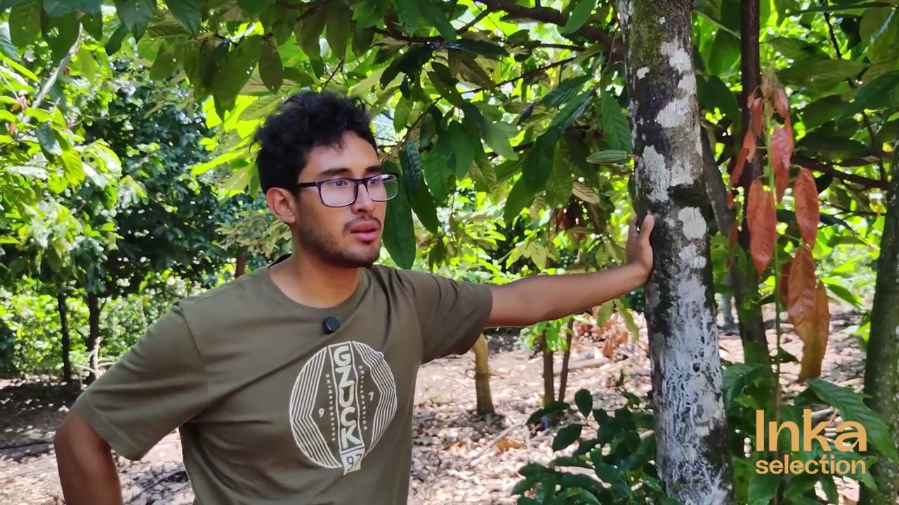 Joel: The Legacy of Chuncho Cacao – A Story of Family and Peruvian Passion 🍫✨