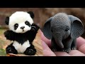 Cute baby animalss compilation  funny and cute moment of the animals 10