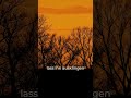 ruheton - Abendton VIII