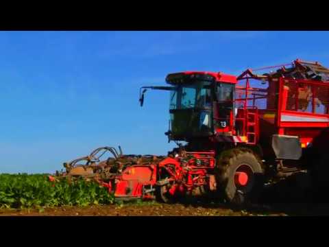 Video: Wo wird Rübenzucker angebaut?