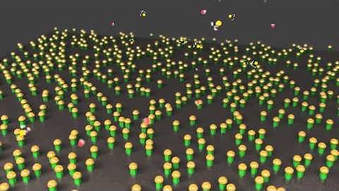 VLS Growth. Render test