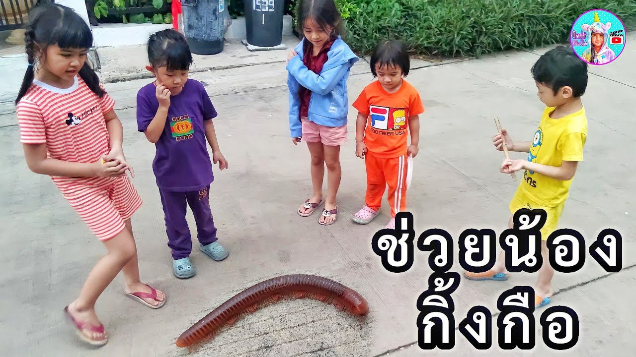 ออมเล็ต ภารกิจช่วยกิ้งกือ ก่อนโดนรถทับ กับเพื่อนๆ