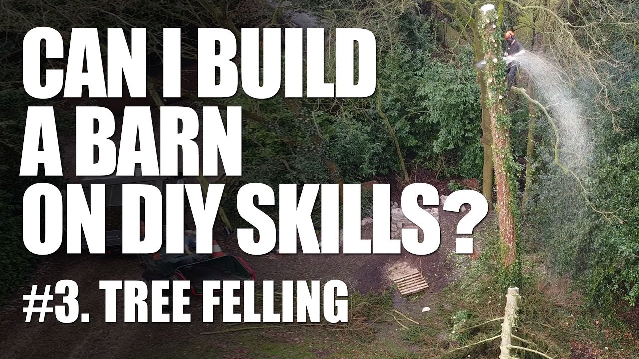 Tree felling - DIY Barn Build #3