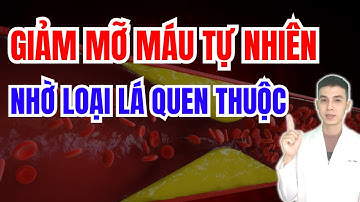 Uống Loại Lá Này Giúp Máu Lưu Thông Tốt, Giảm Mỡ Máu Và Nhẹ Tim Sau Tuổi 50 | Dược sĩ Đạt