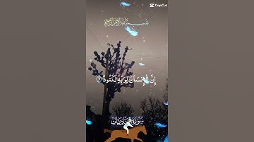 تلاوة خاشعة للشيخ سعد الغامدي سورة العاديات