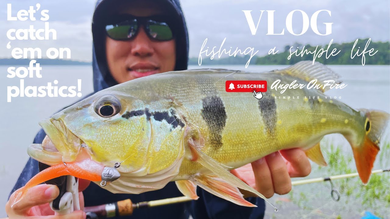 Vlog 18 Singapore Living, Family Time, Peacock Bass Fishing Success On