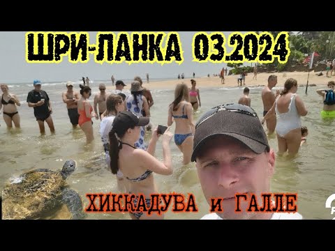 #ШРИ-ЛАНКА #ХИККАДУВА #март2024 туризм #обзор #отель #Hikkaduva #srilanka #путешествия