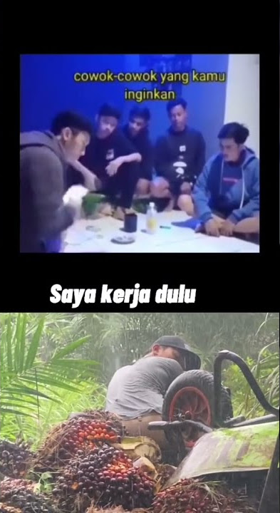 STORY WA KERJA SAWIT #VIRALTIKTOK #SAWITTONTIKTOK