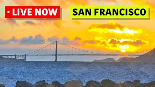 🔴 San Francisco Skyline LIVE · hosted by Mersea Restaurant 🌴 Treasure Island