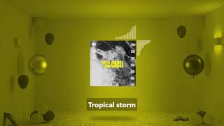 Cacti - Tropical storm (Cospe remix) | Lyrics(just for fun)