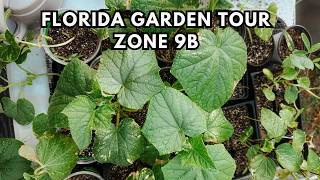 March FLORIDA GARDEN TOUR ZONE 9b | Prepping the Land for a Year's Worth of Food