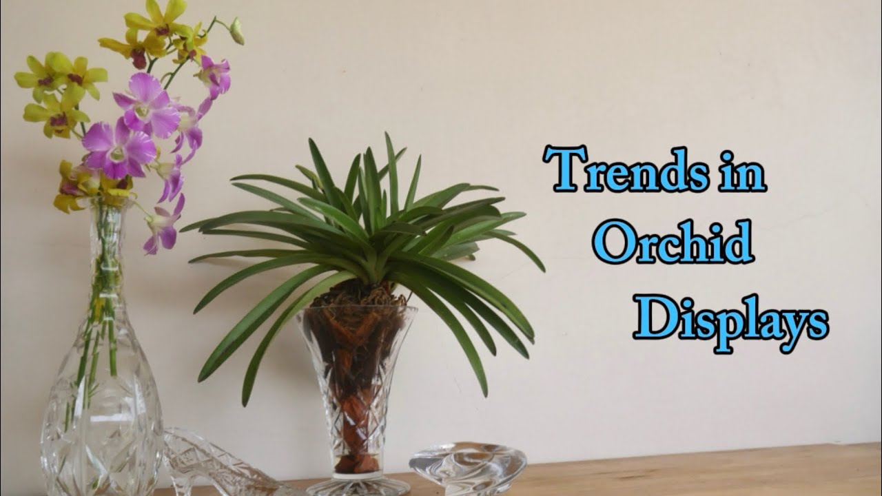 20b | The Latest Orchid Styling Trends You Need to See | Part 2 of 3