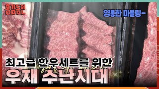 가을하면 떠오르는 운동회! 그런데 상대가...운동 스페셜리스트? 우재 수난시대.. [홍김동전] | KBS 231102 방송