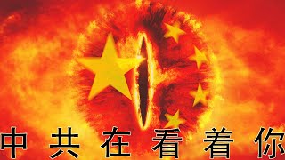 奶爸独家！中共军方背景公司监控西方社会精英数据库曝光，五万美国人三万五澳洲人上榜。“混合战”高手还是送人头菜鸡？奶爸独家解析该公司背后的组织链条（坐澳观天第169期 20200914）