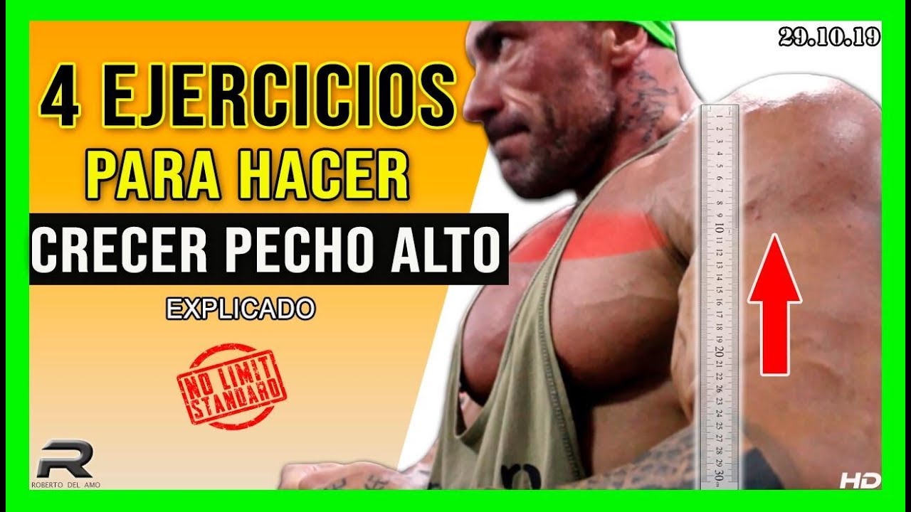 Hacer busto el ejercicios para crecer