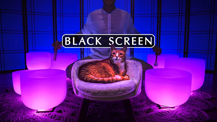 **PARASYMPATHETIC NERVOUS SYSTEM**  Black Screen Sound Bath