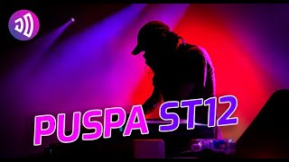 DJ PUSPA ST12 BREAKBEAT FULL BASS SINGLE RACK