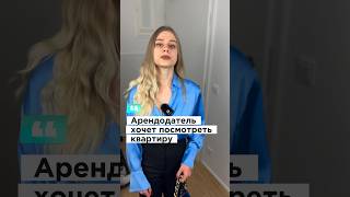 Какие законы в Германии?🇩🇪⚖️ #германия #германияпорусски #русскиевгермании #немецкий