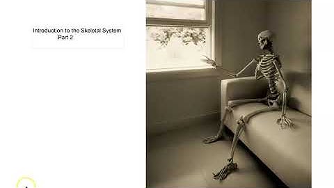 Introduction To Skeletal System part 2