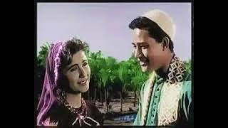 انا عايز صبيه ٠٠ محرم فؤاد