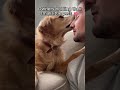 Humans holding their dogs—Pure Joy ❤️ #dog #happy #joy #dogs #shorts