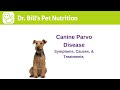 Canine Parvo Disease | Symptoms, Causes, & Treatments | Dr. Bill