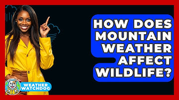 How Does Mountain Weather Affect Wildlife? - Weather Watchdog