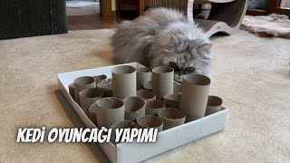 Kedilerin çok seveceği bulmacalı oyuncak yapımı, kendin yap, DIY by Kedi Lolayla 4,495 views 3 months ago 5 minutes, 15 seconds