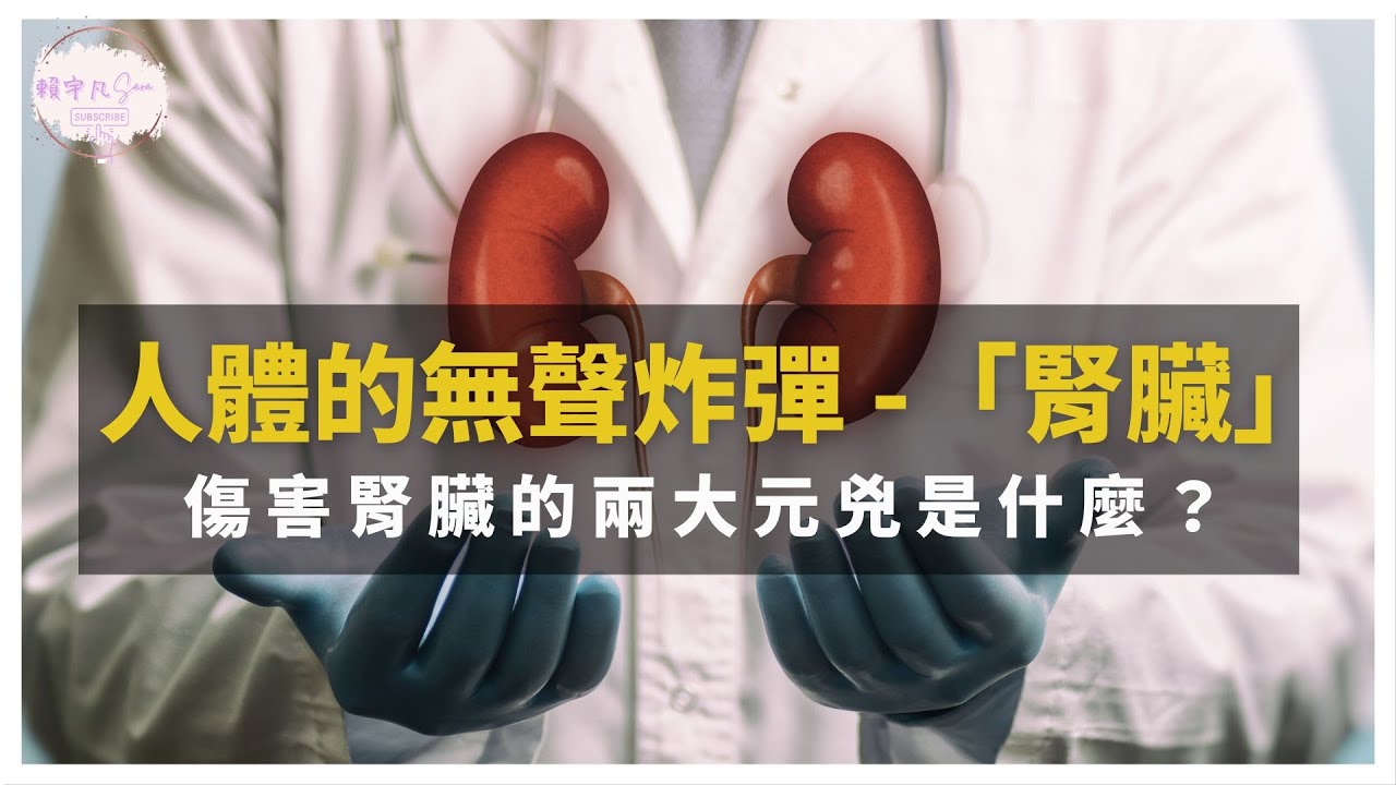 【傷腎兇手】人體的無聲炸彈「腎臟」－傷害腎臟的兩大元兇是什麼？吃哪類食物才能有漂亮的腎指數？｜健康直播精華｜賴宇凡Sara