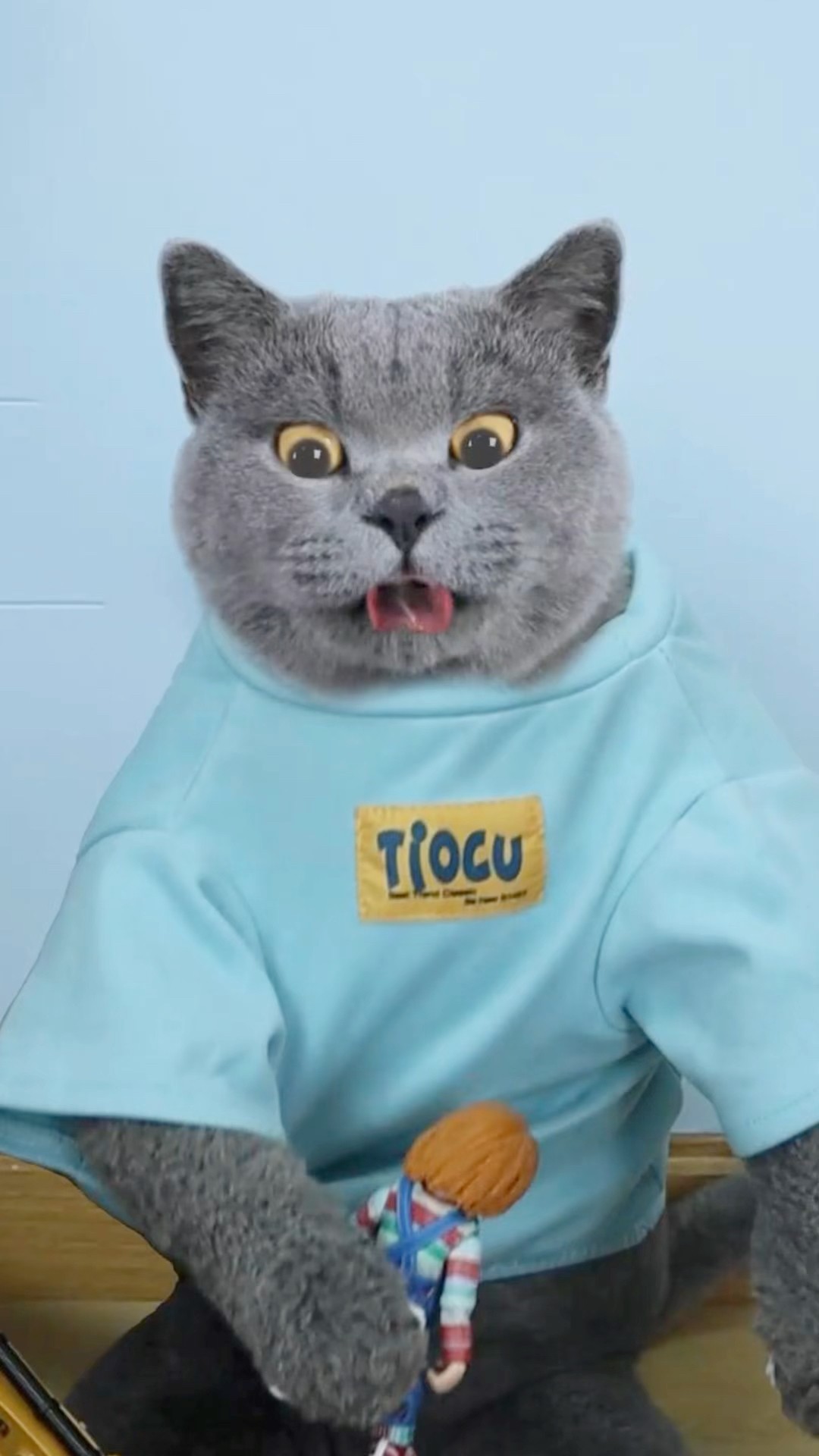 ? How Did The Doll Make A Thrilling Attack? ?? #funnycat #catmemes #trending