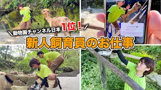 チャンネル登録者日本1位の動物園に入社した、新人飼育員のお仕事ルーティン