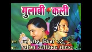 Gulabi Kali                                 न तोर बिन रहे सकव गा/ गुलाबी कली/ छत्तिसगढ़ी गाना