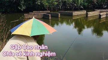 Gặp được ông chú lớn tuổi câu cá thác lác, nhịp phao là đóng