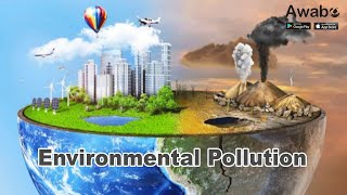 What are the 4 types of environmental pollution?