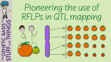 Understanding Quantitative Trait Loci with the help of tomatoes