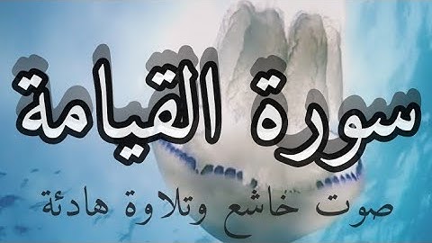 سورة القيامة تلاوة هادئة بصوت رائع يريح القلب