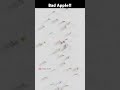 Bad Apple!! 東方 BGM #marble #music #shorts