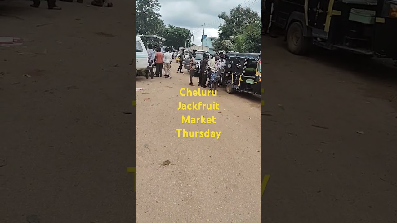 cheluru  jackfruit market @ indian jackfruit