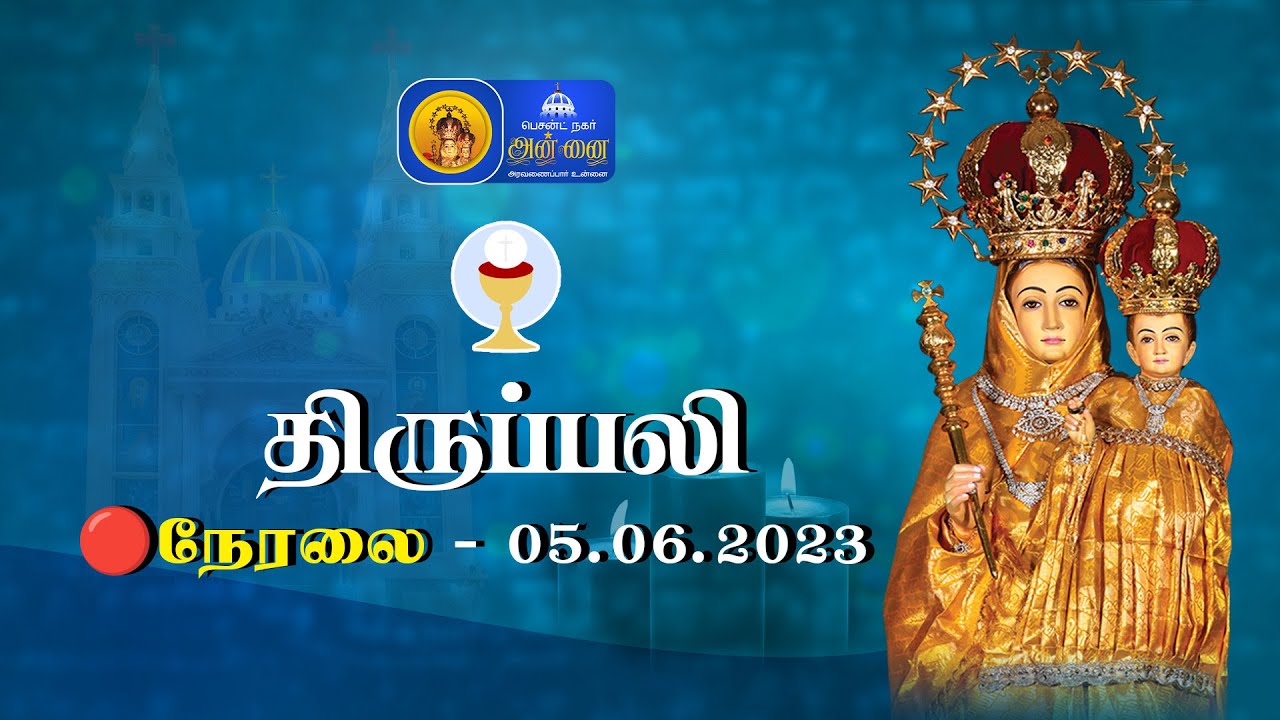  LIVE : Tamil Holy Mass - 5th June 2023 | Annai Vailankanni ...