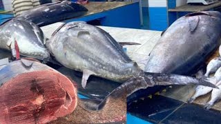 اسعار التونة العنيدة اليوم في الجزائر، سعر السمك اليوم في مسمكة هيثم بكل الفروع