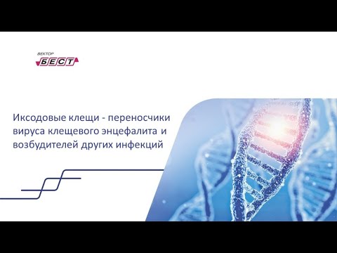 Видео: Как диагностировать болезнь Повассана: 9 шагов (с изображениями)