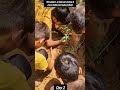 Plant a tree,join us at this drive#trees#plant#fresh air#shortsfeed #earth