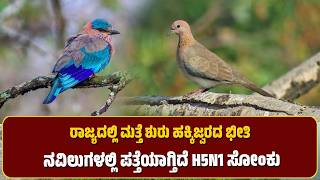 Bird flu anxiety | ರಾಜ್ಯದಲ್ಲಿ ಮತ್ತೆ ಶುರು ಹಕ್ಕಿಜ್ವರದ ಭೀತಿ | ನವಿಲುಗಳಲ್ಲಿ ಪತ್ತೆಯಾಗ್ತಿದೆ H5N1 ಸೋಂಕು