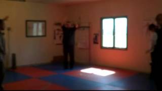 Five Elements Force Combat, part 3/6